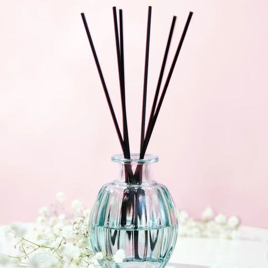 Maison Berger Paris Celestial Aqua Corali – Mini duftdiffuser med duftpinde